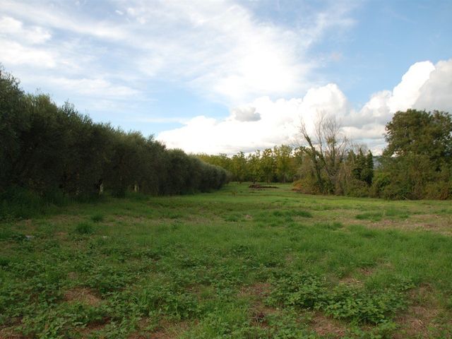 Terreno Agricolo Lanuvio