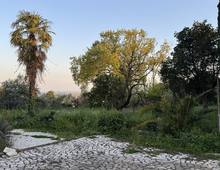 Foto Cometa 6 — Terreno edificabile in vendita a Velletri