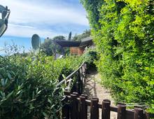Villa in vendita a Castiglione della Pescaia Punta Ala