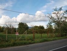 Foto Cometa 6 — Terreno agricolo in vendita a Lanuvio