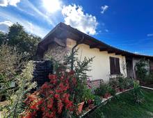 Villa in vendita a Scansano Scansano - Cantine Morellino