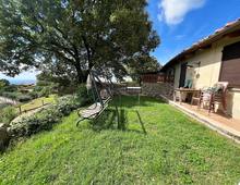 Villa in vendita a Scansano Scansano - Cantine Morellino