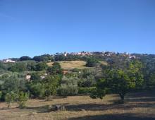 Foto Cometa 1 — Terreno agricolo in vendita a Lanuvio