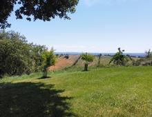 Altro in vendita a Manciano San Martino sul Fiora