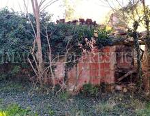 Casa indipendente in vendita a Palaia Usiglian Del Vescovo
