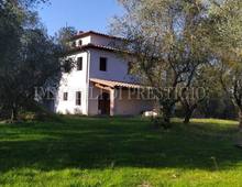 Casa indipendente in vendita a Palaia Usiglian Del Vescovo