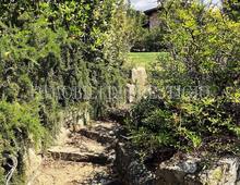 Villa in vendita a Scansano Scansano - Cantine Morellino