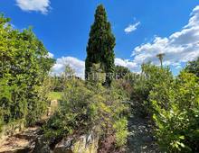 Villa in vendita a Scansano Scansano - Cantine Morellino