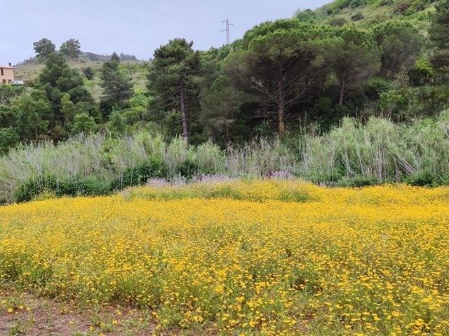 Rudere con terreno pertinenziale