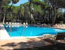 Appartamento in affitto a Castiglione della Pescaia