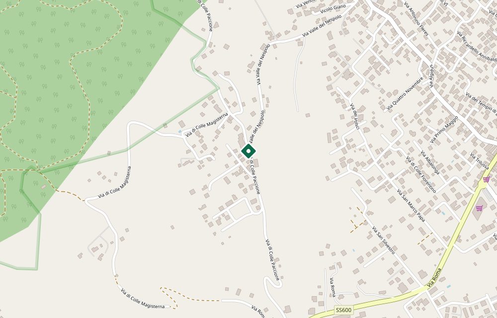 Mappa asta
