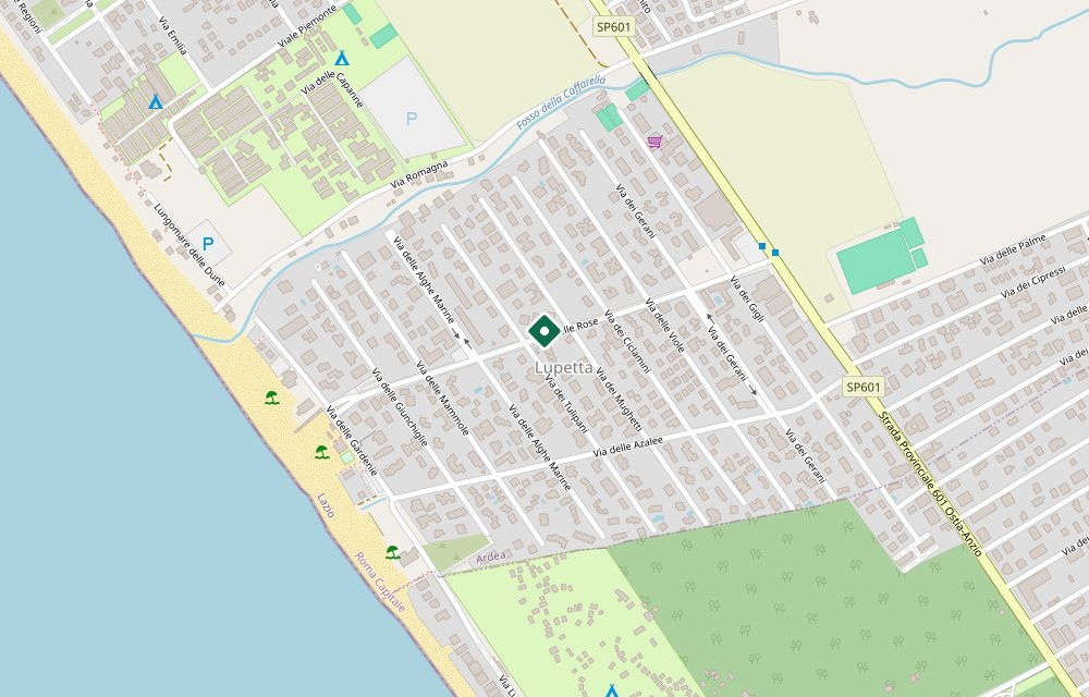 Mappa asta