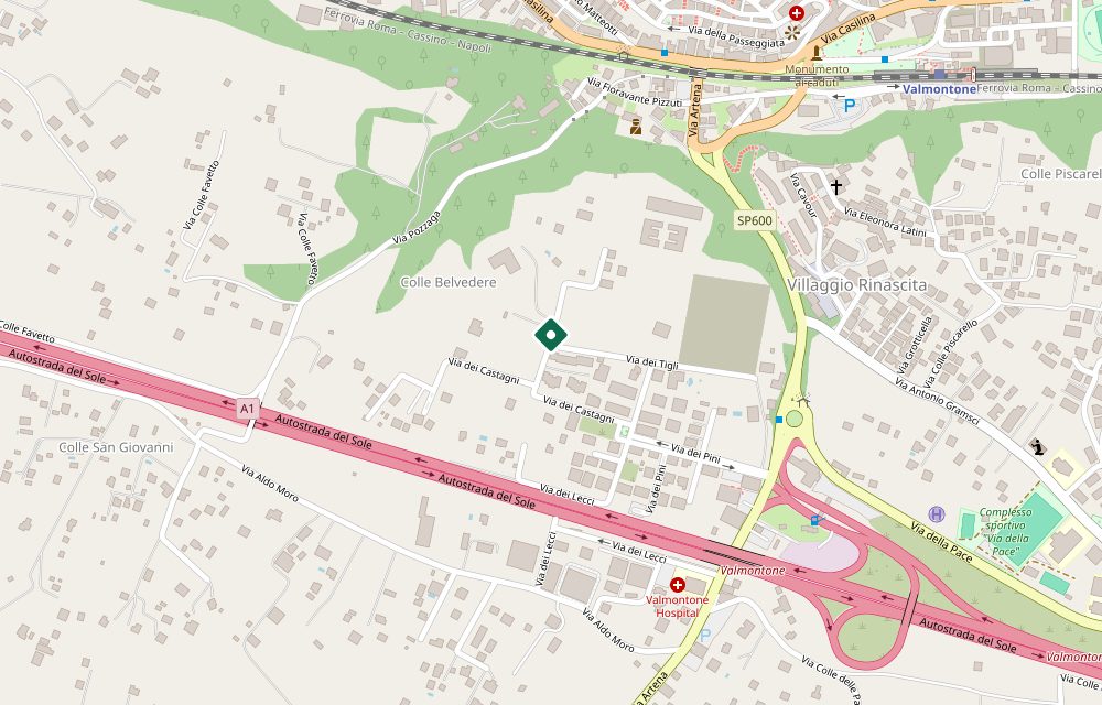 Mappa asta