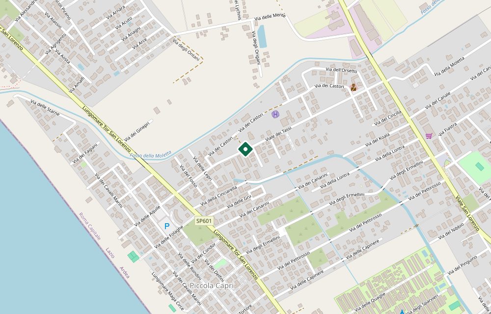 Mappa asta