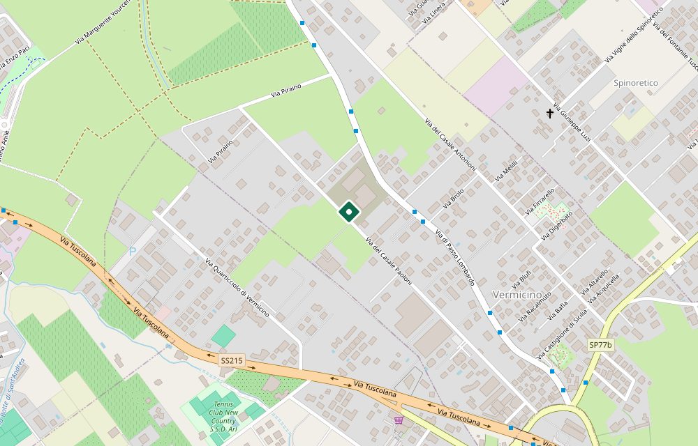 Mappa asta