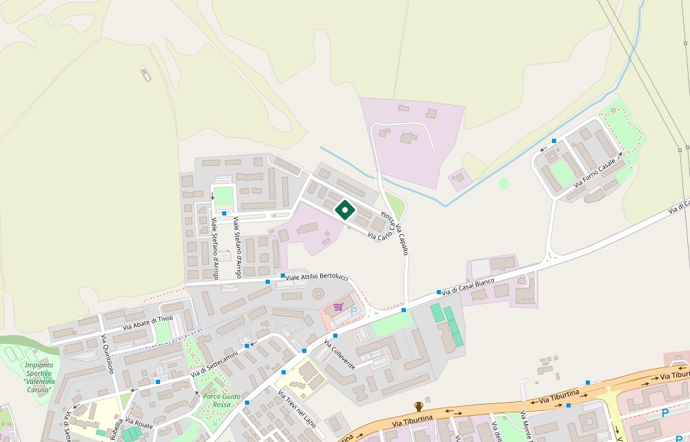 Mappa asta
