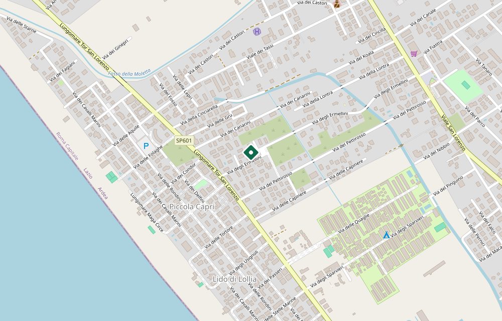 Mappa asta