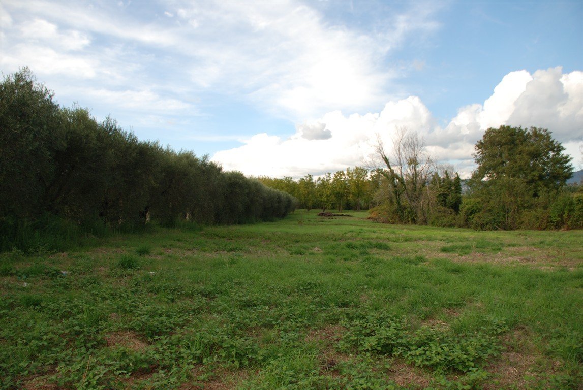 Terreno Agricolo Lanuvio