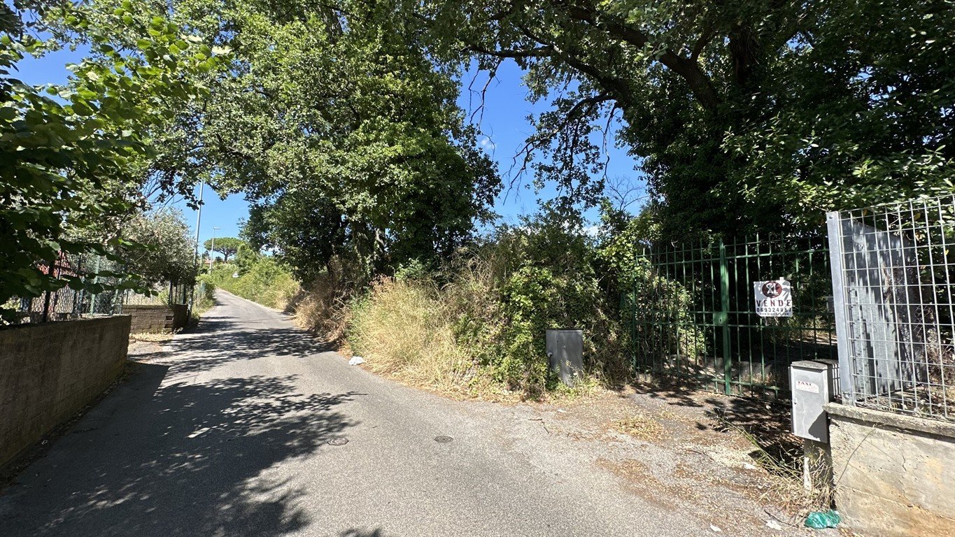Terreno Agricolo Ariccia