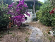 Villa à venda em Castiglione della Pescaia Punta Ala