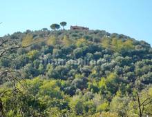Villa in vendita a Montelibretti Colle Pizzuto