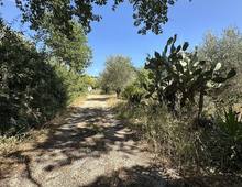 Foto Cometa 2 — Terreno agricolo in vendita a Ariccia