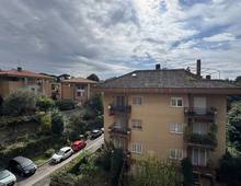 Foto Cometa 19 — Appartamento in vendita a Ariccia
