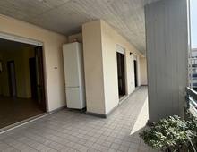 Foto Cometa 21 — Appartamento in vendita a Albano Laziale La Stella