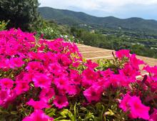 Villa in vendita a Castiglione della Pescaia Punta Ala