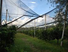 Foto Cometa 7 — Terreno agricolo in vendita a Lanuvio