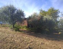 Foto Cometa 3 — Terreno agricolo in vendita a Lanuvio