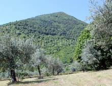 Altro in vendita a Cassino Caira