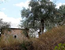 Altro in vendita a Cassino Caira