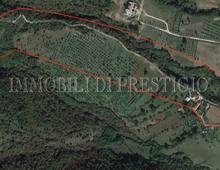 Altro in vendita a Cassino Caira