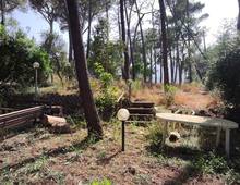Porzione di bifamiliare con giardino e terreno pertinenziale