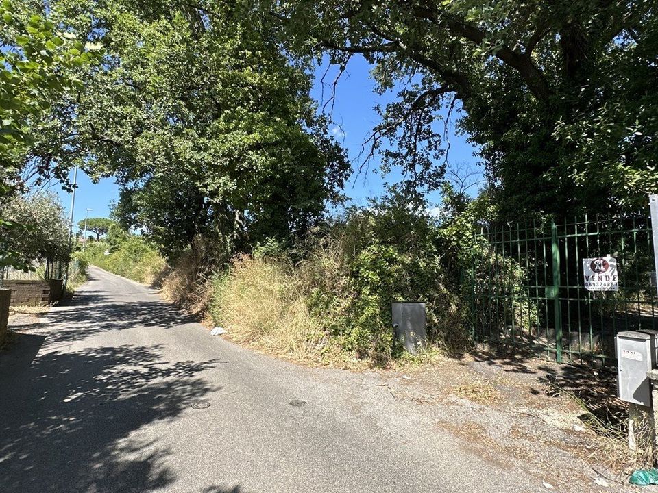 Foto Cometa 1 — Terreno agricolo in vendita a Ariccia