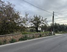 Foto Cometa 16 — Terreno agricolo in vendita a Albano Laziale