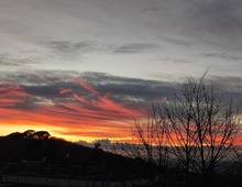 Foto Cometa 25 — Appartamento in vendita a Ariccia