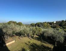 Foto Cometa 21 — Villa bifamiliare in vendita a Monte Porzio Catone