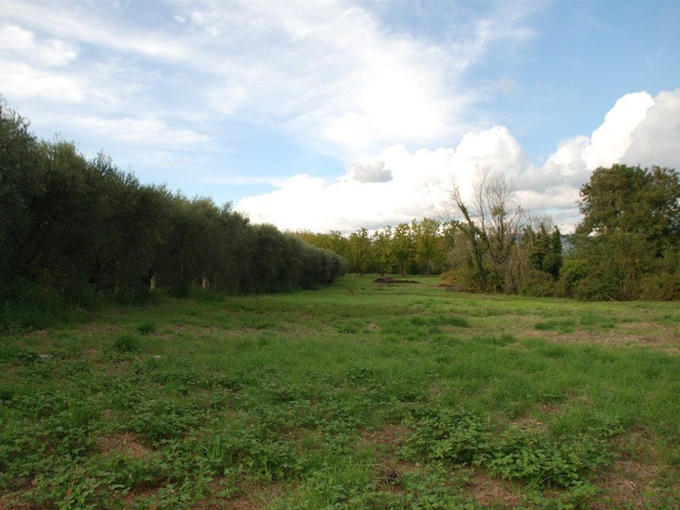 Foto Cometa 1 — Terreno agricolo in vendita a Lanuvio