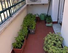 Appartamento in vendita a Roma Parioli